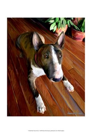 Framed Bull Terrier Down Print