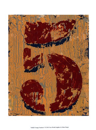 Framed Vintage Numbers V Print