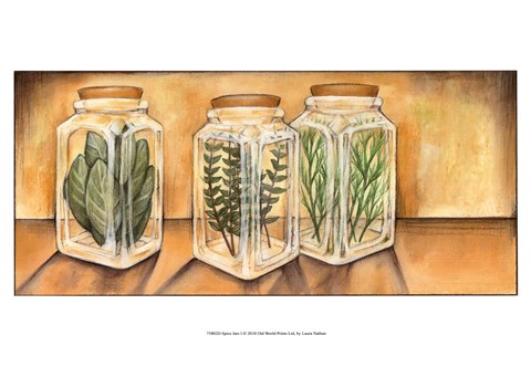 Framed Spice Jars I Print