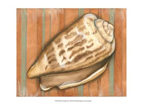 Framed Shell on Stripes III - light Print