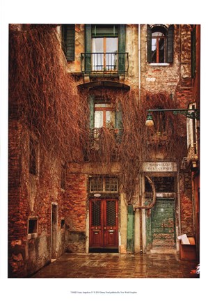 Framed Venice Snapshots IV Print