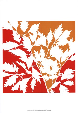 Framed Split Stem II Print