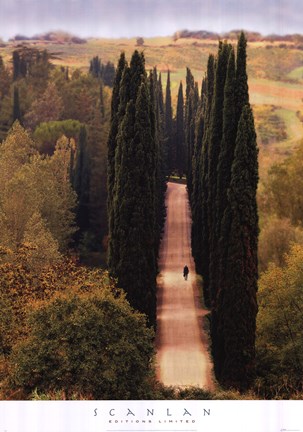 Framed Journey Print