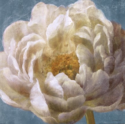 Framed Turqoise Bloom I Print