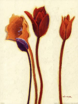 Framed Tulipan III Print