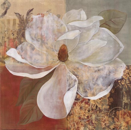 Framed Magnolia Morning II Print