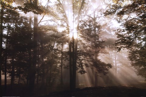 Framed New Day II Print