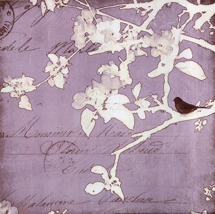 Framed Song Birds VIII - mini Print