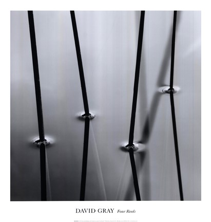 Framed Four Reeds Print