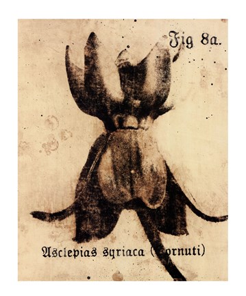 Framed Fig. 8a Print