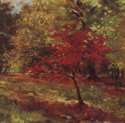 Framed Autumn Trail Print