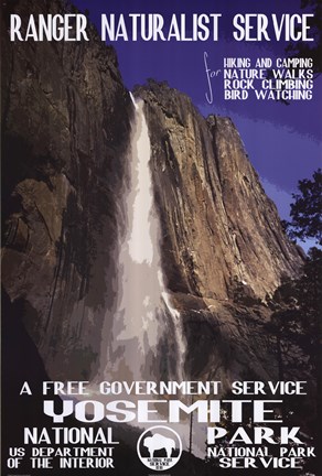 Framed Yosemite Print