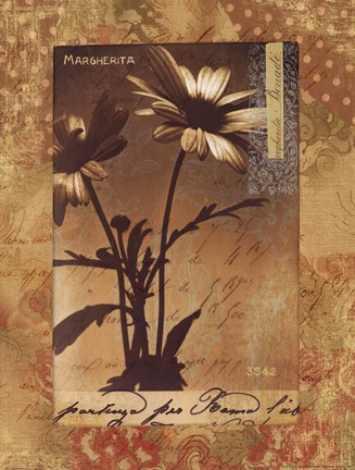 Framed Gypsy Dasies Print