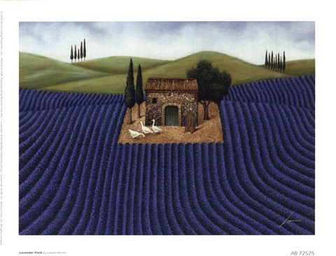 Framed Lavender Field Print