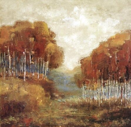 Framed Weathered Scape II Print