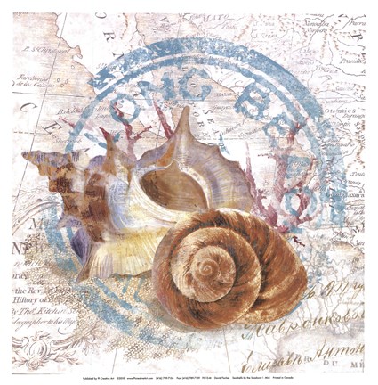 Framed Seashells By The Seashore I Print