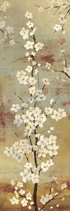 Framed Blossom Canopy II Print