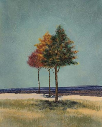 Framed Tranquil Vista Print