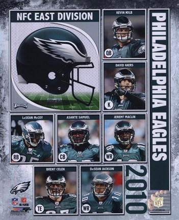 Framed 2010 Philadelphia Eagles Composite Print