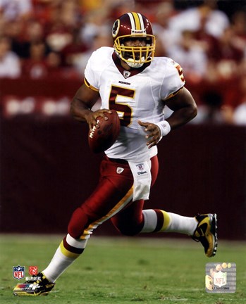 Framed Donovan McNabb 2010 Action Print