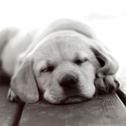 Framed Nap Time Print