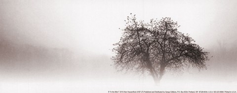 Framed In the Mist I Print