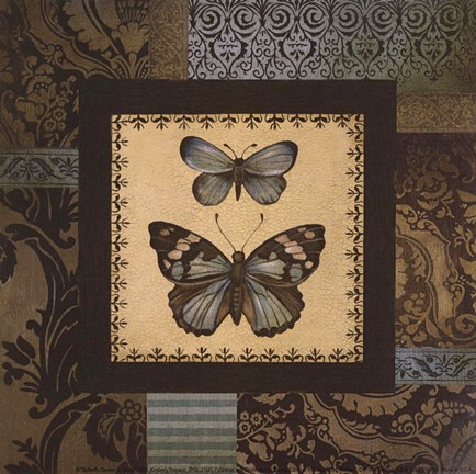 Framed Butterfly II - petite Print