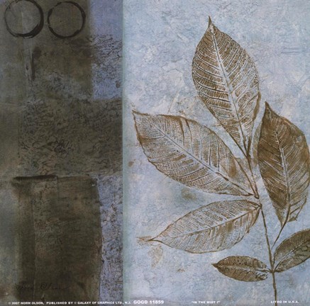 Framed In the Mist I Print