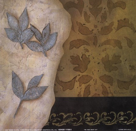 Framed In the Mist II Print