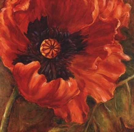 Framed Red Poppy Print