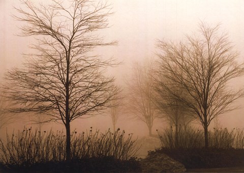 Framed Foggy Walk Print