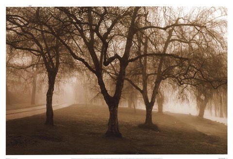 Framed Misty Park Print