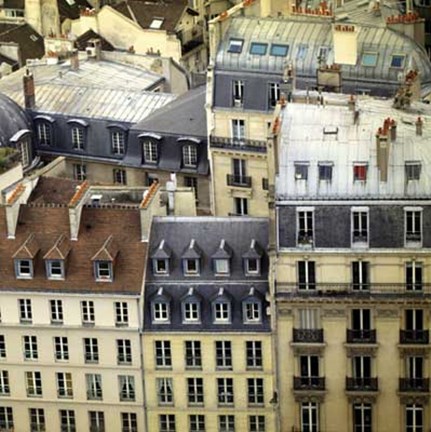 Framed Paris Rooftops I Print