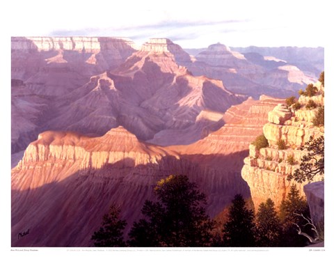 Framed Deep Shadows Print