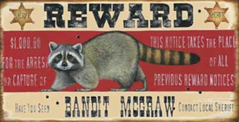 Framed Bandit McGraw Print