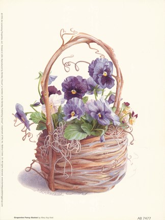 Framed Grapevine Pansy Basket Print