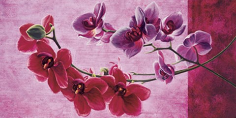 Framed Composizione di orchidee Print