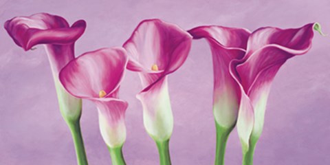 Framed Calle in fiore Print