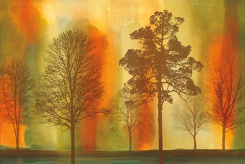 Framed Sunset I Print