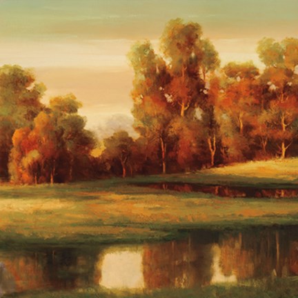 Framed Serene II Print