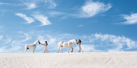 Framed Leading Horses in Desert Print