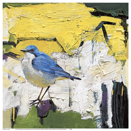 Framed Scalloped Shrug Print