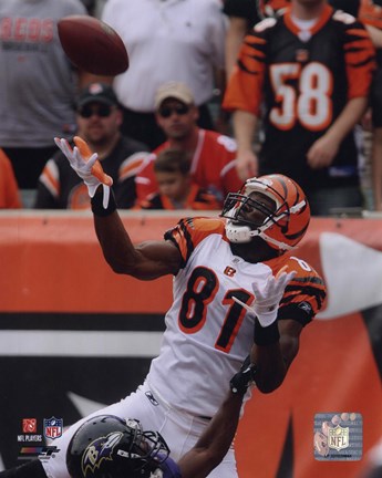 Framed Terrell Owens 2010 Action Print