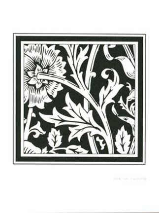 Framed Graphic Floral Motif IV Print