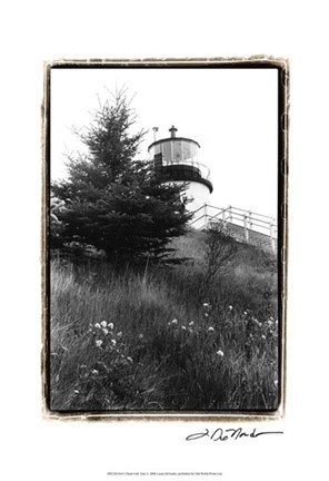 Framed Owl's Head with Tree Print