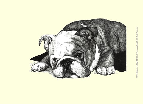 Framed Gracie the Bulldog Print