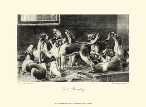 Framed Frost Breaking Print