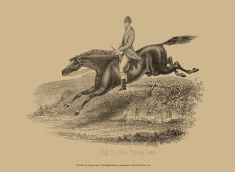 Framed Flying Leap Print