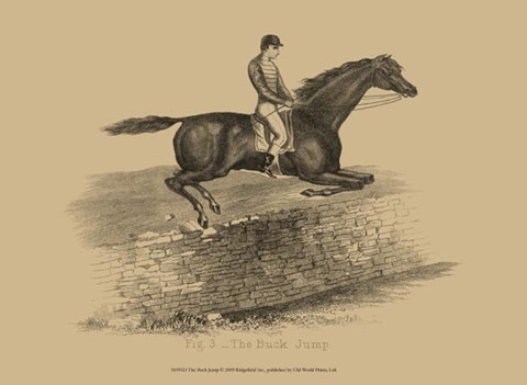 Framed Buck Jump Print