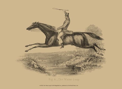 Framed Water Leap Print